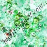 Colour:C