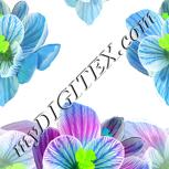 Colour:D