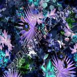 Colour:F