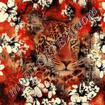 Colour:A