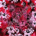 Colour:B