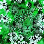 Colour:C