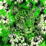 Colour:D
