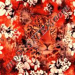 Colour:J