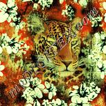 Colour:K