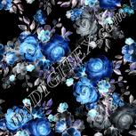 Colour:F