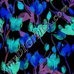 Colour:F
