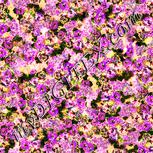 Colour:J