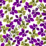 Colour:B