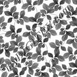Colour:E