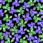 Colour:F