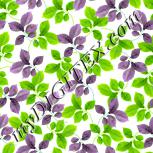 Colour:K