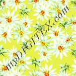 Colour:K