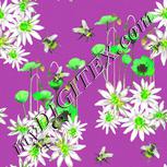 Colour:D