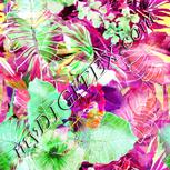 Colour:D
