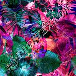 Colour:F
