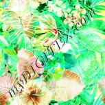 Colour:K