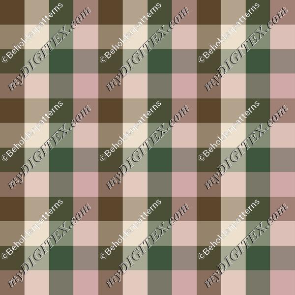 Pincones and Insects-12x12-3oo-Blockcheck-003
