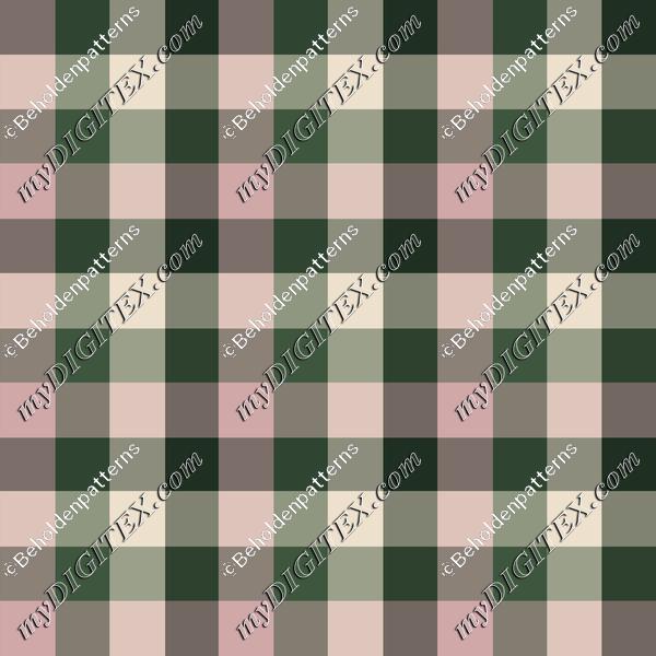 Pincones and Insects-12x12-3oo-Blockcheck-002