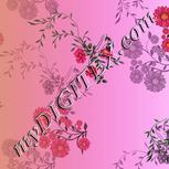 Colour:A