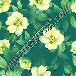 Colour:K