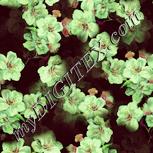 Colour:K