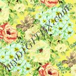 Colour:K