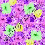 Colour:D