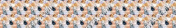 Little Bunnies