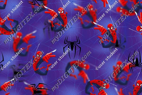 spider