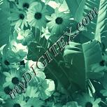 Colour:K