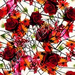 Colour:A