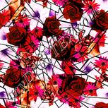 Colour:B