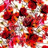 Colour:J