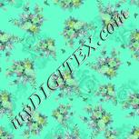Colour:C