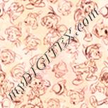 Colour:J
