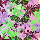 Colour:C