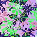 Colour:D