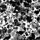 Colour:A