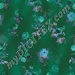 Colour:F
