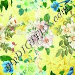 Colour:K