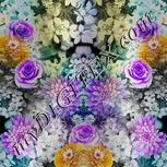 Colour:A