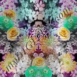 Colour:C