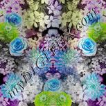Colour:D