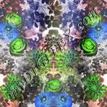 Colour:F