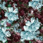 Colour:B