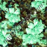 Colour:K