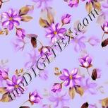 Colour:A