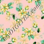 Colour:C