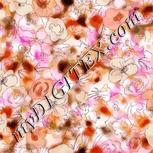 Colour:B